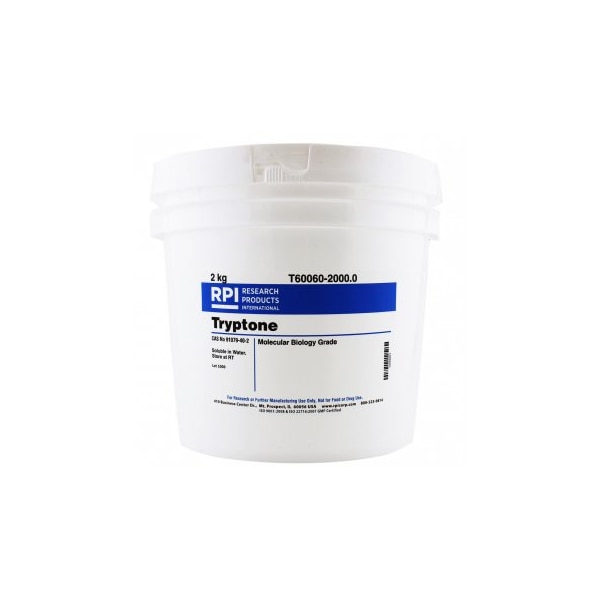 Tryptone, Powder, 2 KG